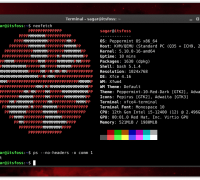 Converted Chromebook to Linux